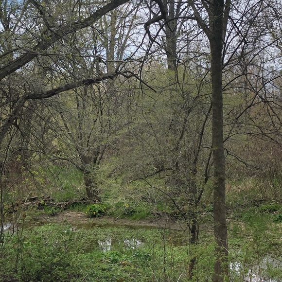 Meet your Posher, Moira - Picture 1 of 1